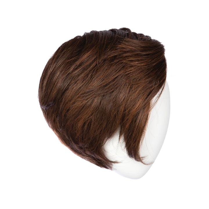 Best in Class: Synthetic Wig | Heat Friendly, Lace Front, Mono Part