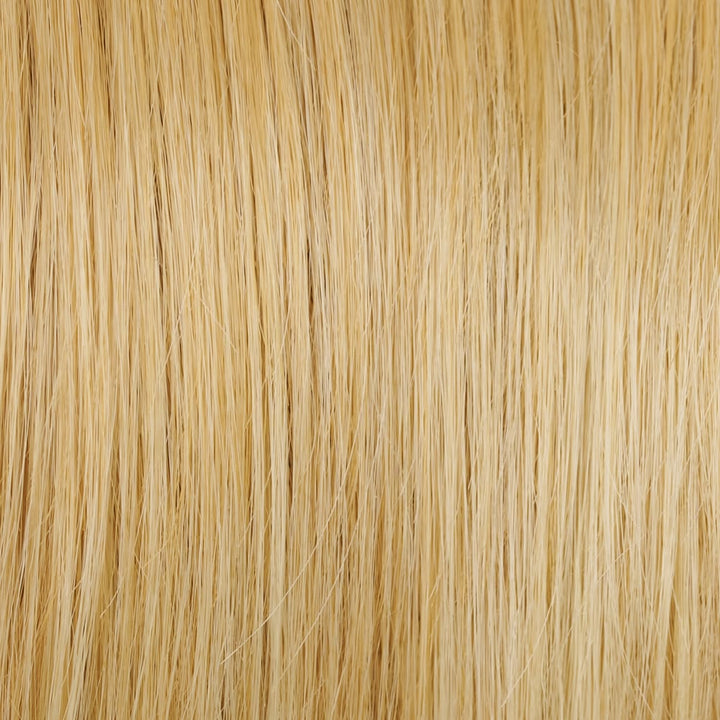 Eve: Synthetic Wig | Heat Friendly, Lace Front, Mono Top