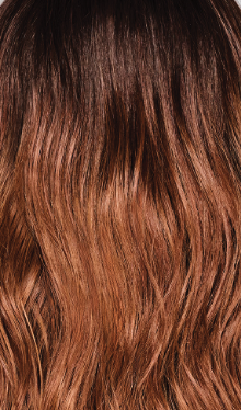 Balayage Beauty: Synthetic Wig | Heat Friendly, Lace Front, Mono Part