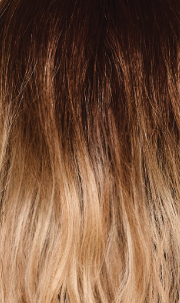 Balayage Beauty: Synthetic Wig | Heat Friendly, Lace Front, Mono Part